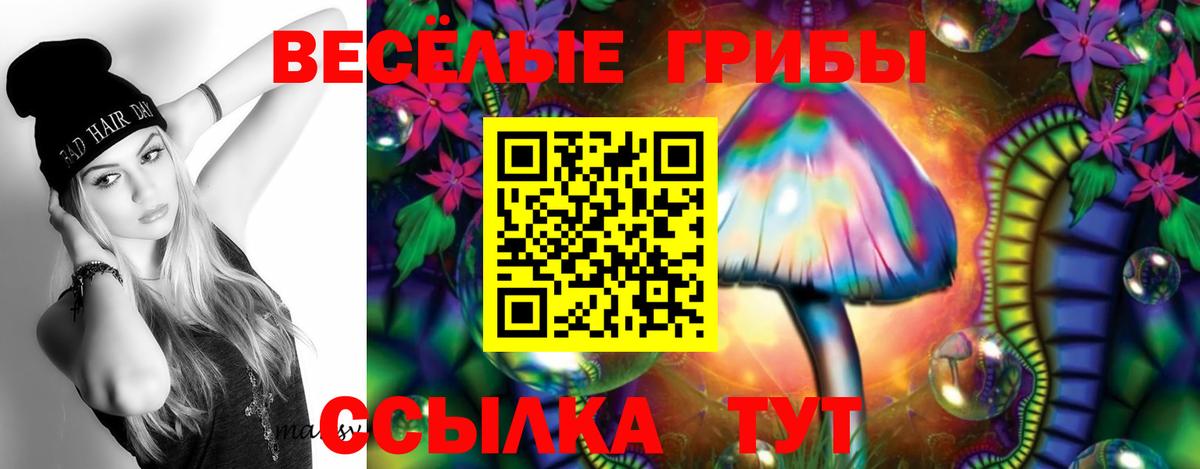 Галлюциногенные грибы Psilocybine cubensis  Вход с VPN  Людиново 