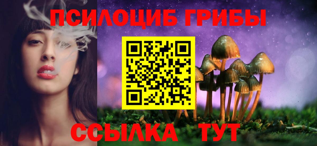 Галлюциногенные грибы прущие грибы Людиново